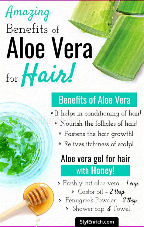 Aloe Vera For Hair Growth Lets Know The Amazing Benefits