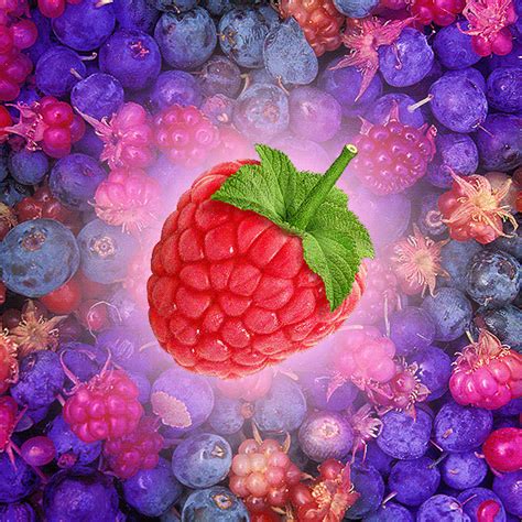 Very Berry Veryberrycom Ns 1855505ttrr