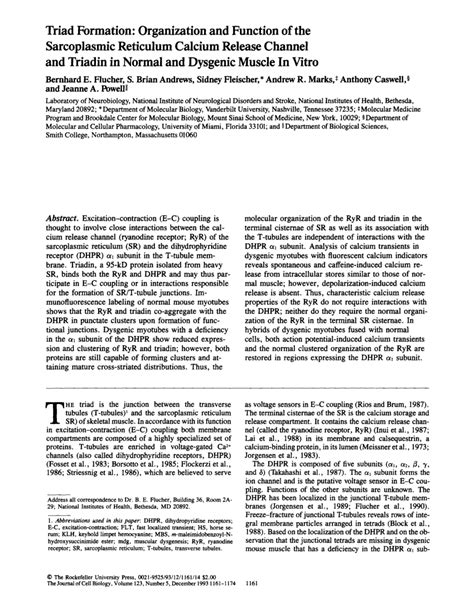 (PDF) Triad formation: Organization and function of the sarcoplasmic reticulum calcium release ...