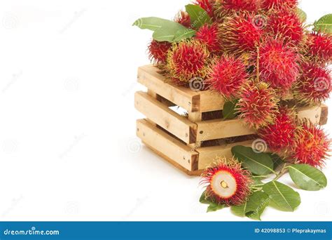 Tropical Fruit Fresh Rambutans Stock Image Image Of Closeup Crate 42098853