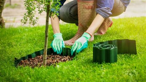 Why You Should Mulch Underneath Trees