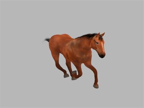 horse animation 3d model