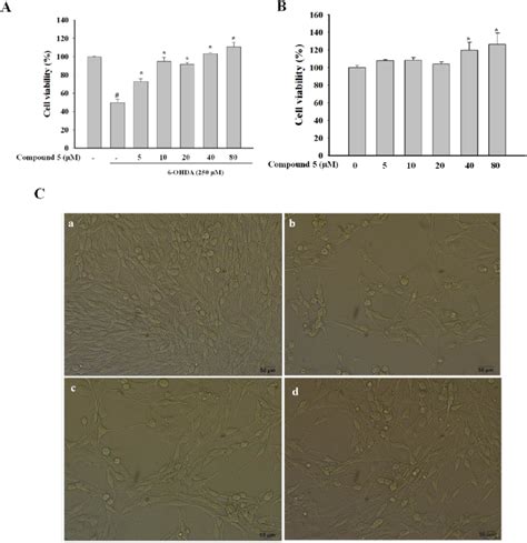 Effects Of Compound On Ohda Induced Pc Cell Injury A Pc