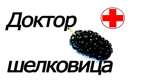 ЛЕЧЕБНЫЕ свойства ШЕЛКОВИЦЫ и ещё много ИНТЕРЕСНОГО о ней... - YouTube