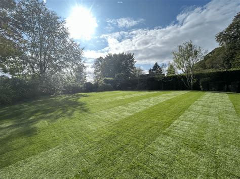 Greens Turf Fescue Banbury Turf