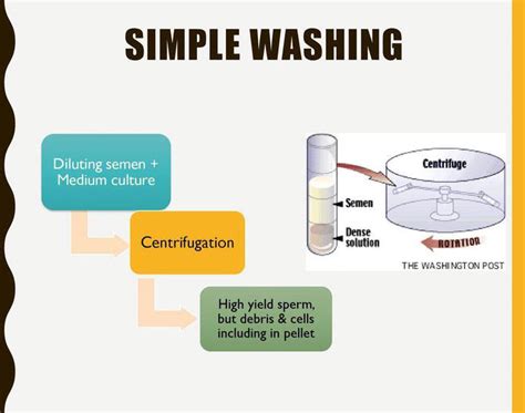 Semen Analysis Procedure