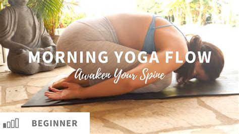 Morning Yoga Flow Awaken Your Spine Vinyasa Yoga Youtube