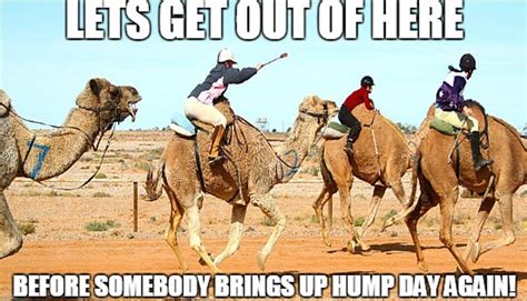 The 16 Best Hump Day Memes