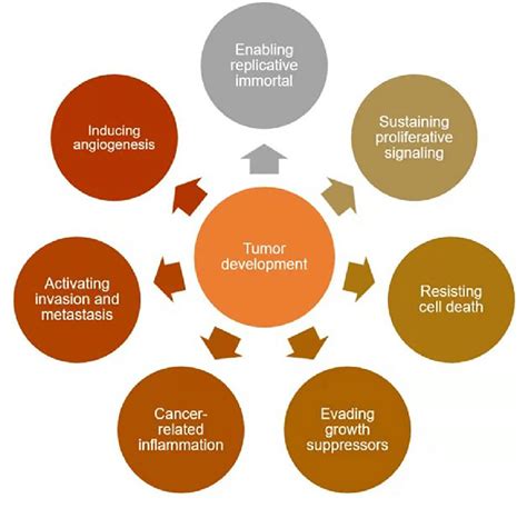 characteristics  cancer pathogenesis  include
