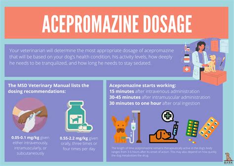 Everything You Need To Know About Acepromazine For Dogs | Bark For More