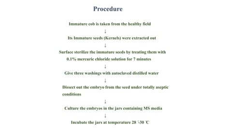 Endosperm And Embryo Culture Ppt