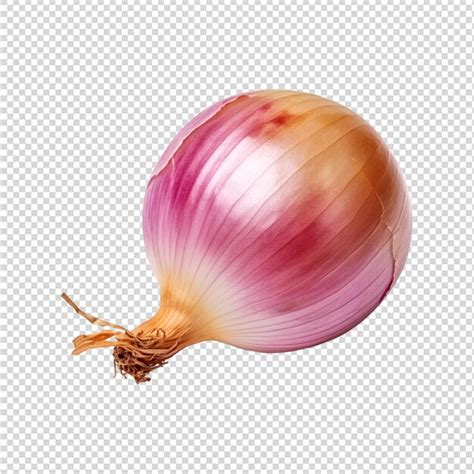 Premium Psd Onion Isolated On White Background