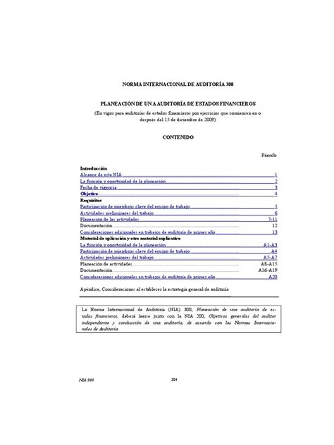 Pdf 16 Norma Internacional De Auditoría 300 1 Dokumentips