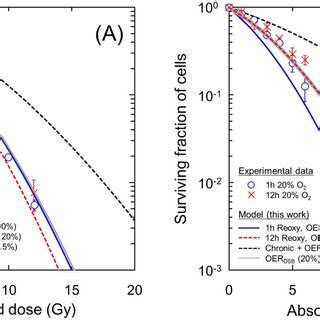 Estimation of reoxygenation for chronic hypoxia and anoxia: (A) hypoxia ...