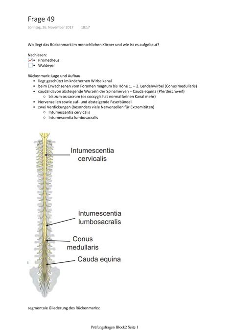 Anatomie Frage Warning Tt Undefined Function Warning Tt