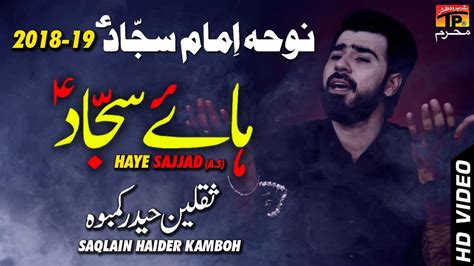 Ho Chuki Har Zulm Ki Saqlain Haider New Noha Tp Moharram Youtube