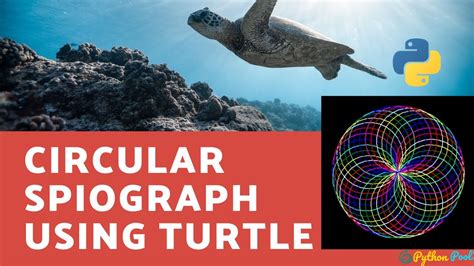 Circular Spirograph Design Using Python And Turtle Youtube