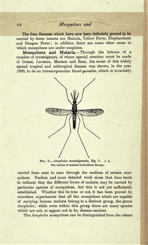 Mosquitoes and Mauve: a story of scientific discovery and the British
