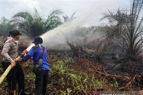 Dua Hektare Lahan Gambut Di Nagan Raya Terbakar Antara News Aceh