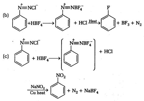 Neet Chemistry Notes Organic Compounds Containing Nitrogen Hofmann Mustard Oil Reaction Cbse