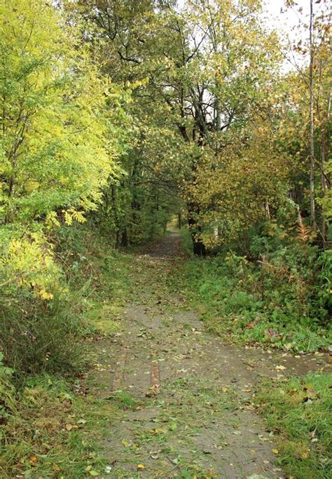 Old Railway Line Path © Richard Sutcliffe Cc By Sa 2 0 Geograph Britain And Ireland