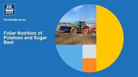 Foliar Nutrition Of Potatoes And Sugar Beet Agronomy Advice