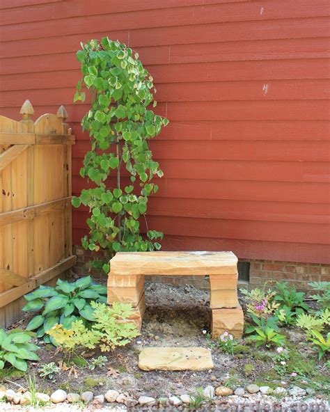 Red House Garden: The Variegated Weeping Redbud