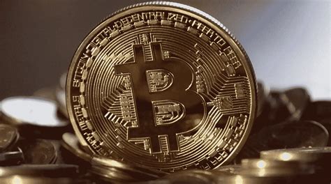 What Does A Bitcoin Look Like Discover The Digital And Physical Bitcoin