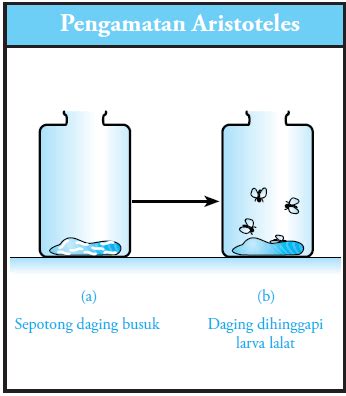 Teori Asal Usul Kehidupan Teori Abiogenesis Biogenesis Kosmozoan