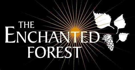 The Enchanted Forest, Pitlochry events & tickets 2024 | Ents24