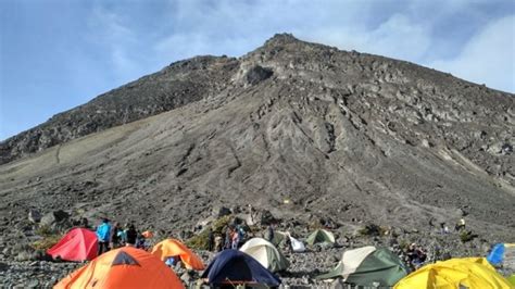 Viral Video Detik Detik Macan Jawa Terkam Pendaki Di Puncak Gunung