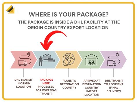 Dhl Processed At Export Facility Tracking Guide Mailbox Master