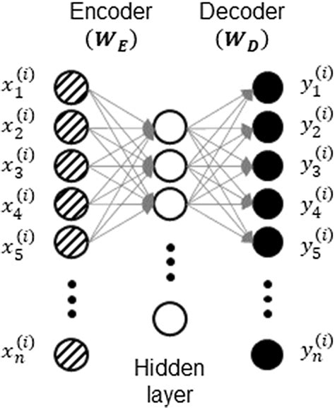 Schematic Representation Of Single Layer Autoencoder Download