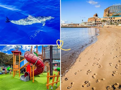 Que ver en puerto rico gran canaria | Oldtravelbag.com