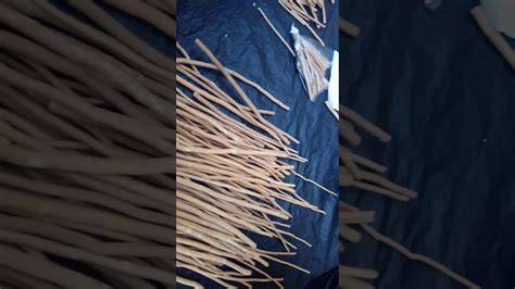 Сивак для ваших зубов! Выбираем сивак в городе Медина - YouTube