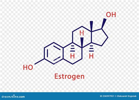 Estrogen Chemical Formula Estrogen Chemical Molecular Structure Vector Illustration