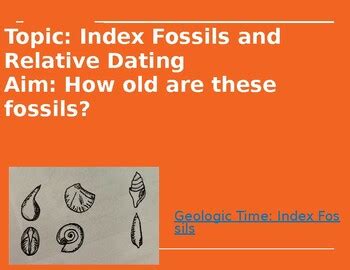 Relative Dating Sort of Index Fossils in Rock Samples by Colors of Life Science