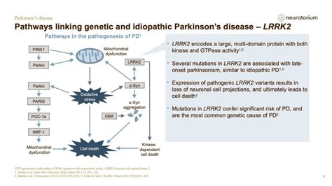 Parkinsons Disease Neurobiology And Aetiology Neurotorium