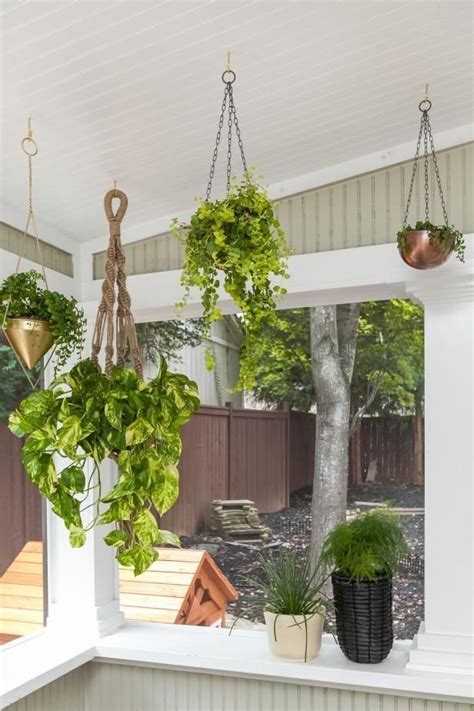 20+ Plants On Screened Porch – The Urban Decor