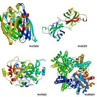 Prediction of the three-dimensional structure of barley SOD protein.... | Download Scientific ...