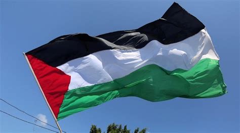 صور علم فلسطين سبب تشابه ألوان أعلام دول الوطن العربي ودلالة كل لون