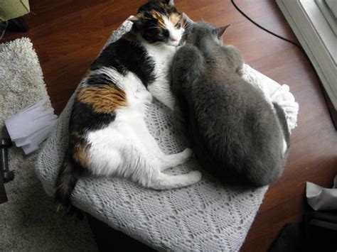 Raymi The Minx Nude Archives Raymi The MinxRaymi The Minx