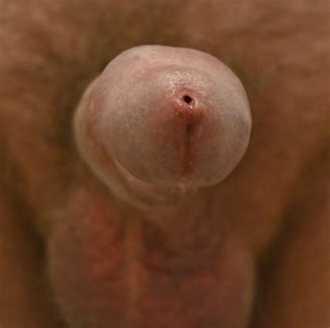 More Penis Close Ups Nude Pics Xhamster