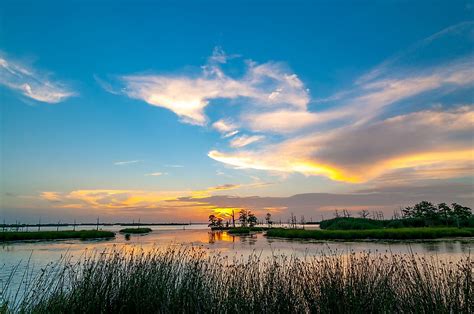 Where is the Mississippi River Delta? - WorldAtlas.com