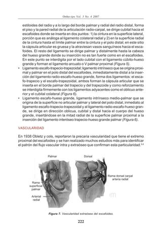 Escafoides Pdf