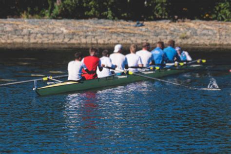 170 Rowing Skulls Stock Photos Pictures And Royalty Free Images Istock