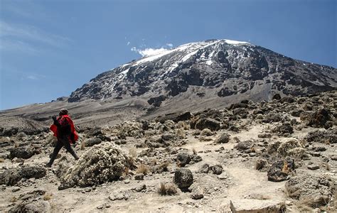 Kilimandjaro Le Grand Face Face