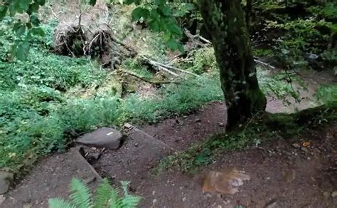 Ruta De La Cascada Del Xiblu Por El Hayedo De Montegrande El Comercio