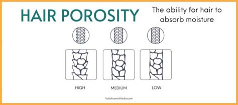 The Ultimate Guide to Hair Porosity For Curly Hair