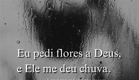 Pedi A Deus Flores E Ele Me Deu Chuva - Eu pedi flores a Deus, e Ele me deu chuva. (Sem chuva as flores não ...